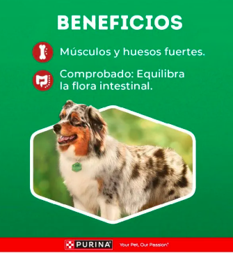 Alimento para Perro DOG CHOW Adultos Medianos y Grandes 21kg