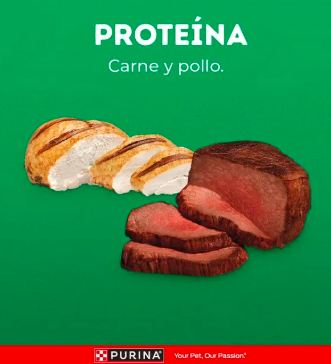 Alimento para Perro DOG CHOW Adultos Medianos y Grandes 21kg