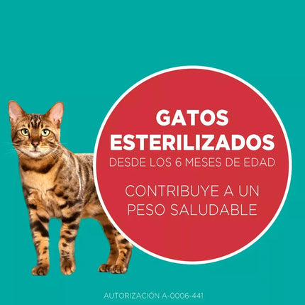 Purina ONE Salmón – Alimento Seco para Gatos Esterilizados 2kg